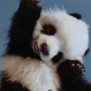 Meet your Posher, Addison